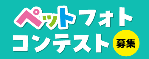 ペット応募フォーム