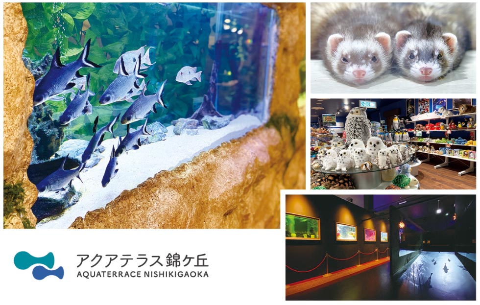アクアテラス錦ケ丘