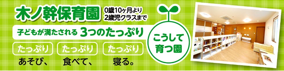 木ノ幹保育園子どもが満たされる3つのたっぷり
