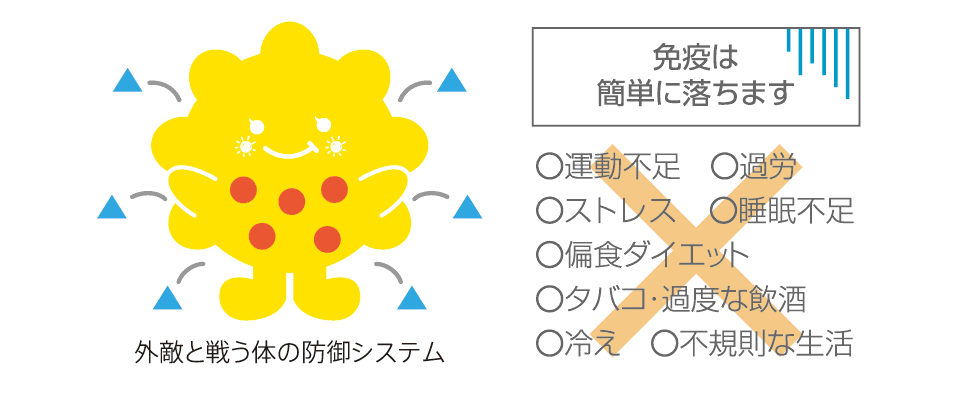 体の防御システム
