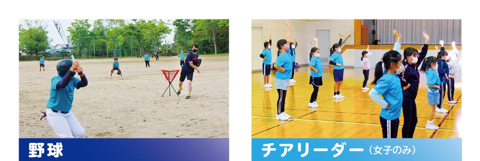 野球 チアリーダー