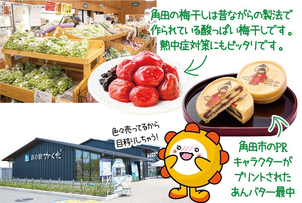 道の駅かくだ