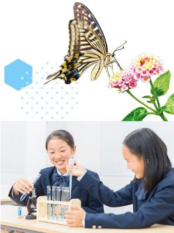 アドバイス